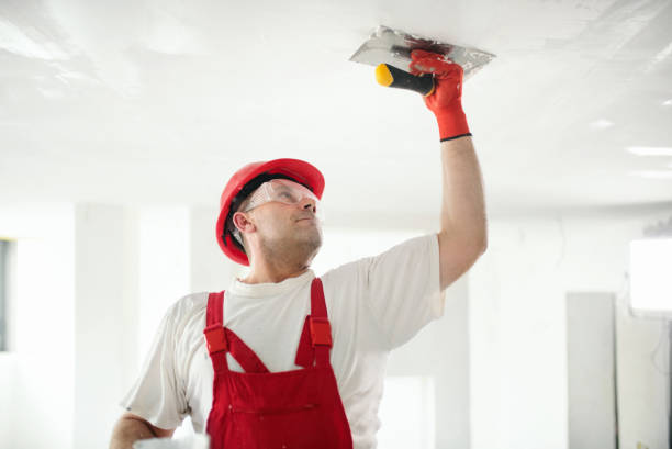 Best Drywall Crack Repair  in Burr Ridge, IL