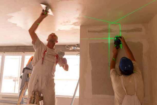 Best Drywall Installation  in Burr Ridge, IL