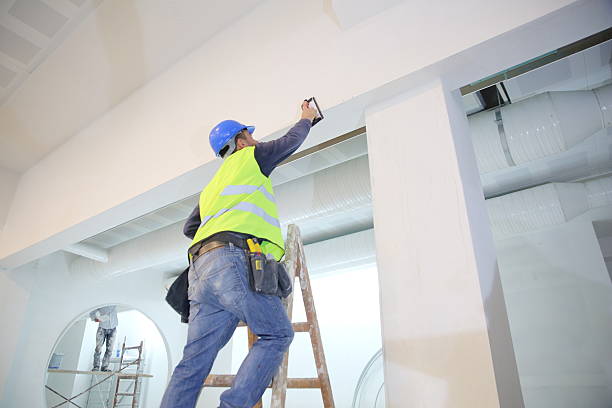 Best Ceiling Drywall Installation  in Burr Ridge, IL