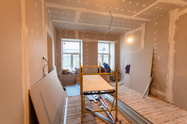 Best Drywall Sanding and Smoothing  in Burr Ridge, IL